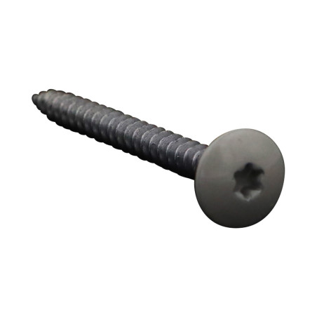 1 x Tornillo pernio 4.5X50 roscado total TORX T20 Acero cincado blanco LAQ RAL7044