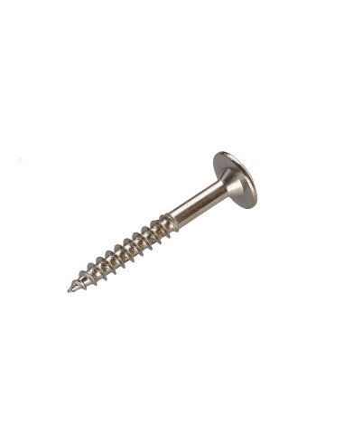 1 x Tornillo pernio 4X30 roscado en 20 TORX T20...