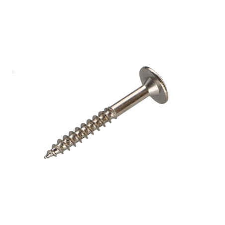 1 x Tornillo pernio 4X30 roscado en 20 TORX T20 Acero niquelado
