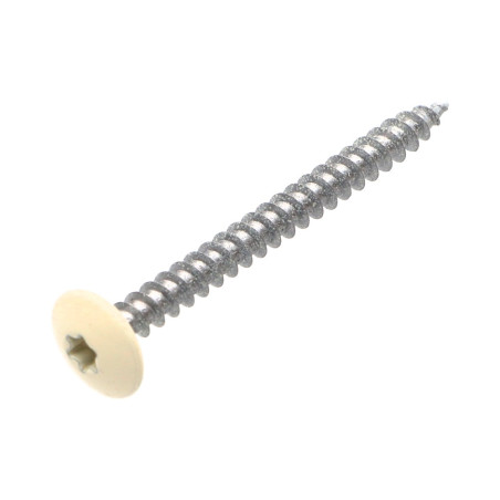 1 x Tornillo pernio 4.5X50 roscado total TORX T20 Acero cincado blanco LAQ RAL9010 blanco puro