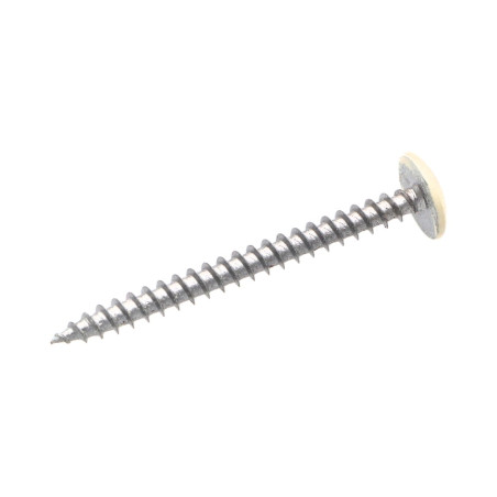 1 x Tornillo pernio 4.5X50 roscado total TORX T20 Acero cincado blanco LAQ RAL9010 blanco puro