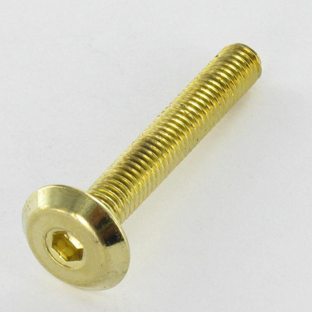 1 x Tornillo metales plano llave de 4 M6X60 Acero latonado