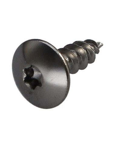 1 x Tornillo pernio 5X16 roscado total TORX T20...