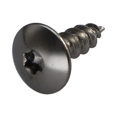 1 x Tornillo pernio 5X16 roscado total TORX T20 Acero cromado