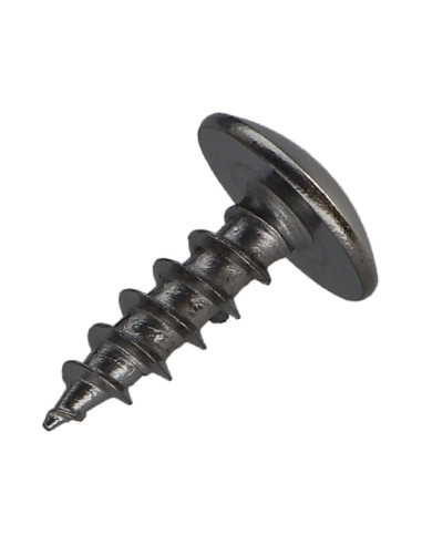 1 x Tornillo pernio 5X16 roscado total TORX T20...
