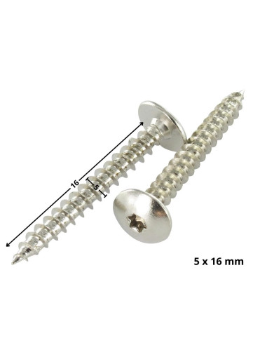 1 x Tornillo pernio 5X16 roscado total TORX T20...