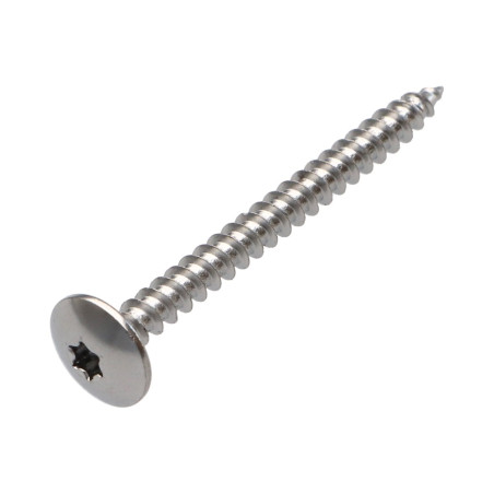 1 x Tornillo pernio 4.5X50 roscado total TORX T20 Acero cromado