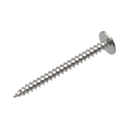 1 x Tornillo pernio 4.5X50 roscado total TORX T20 Acero cromado
