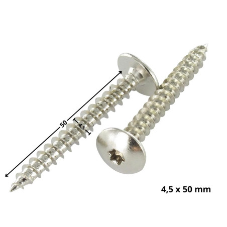 1 x Tornillo pernio 4.5X50 roscado total TORX T20 Acero cromado