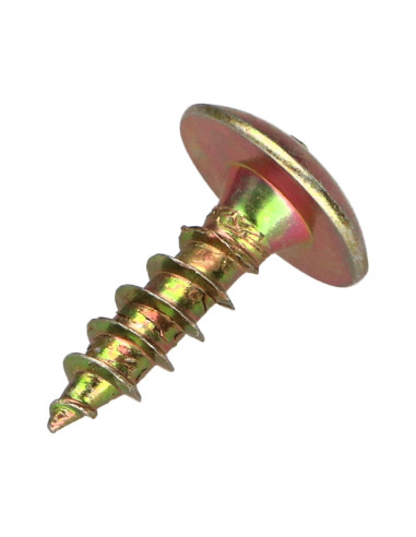 1 x Tornillo pernio 6X20 roscado total TORX T30...