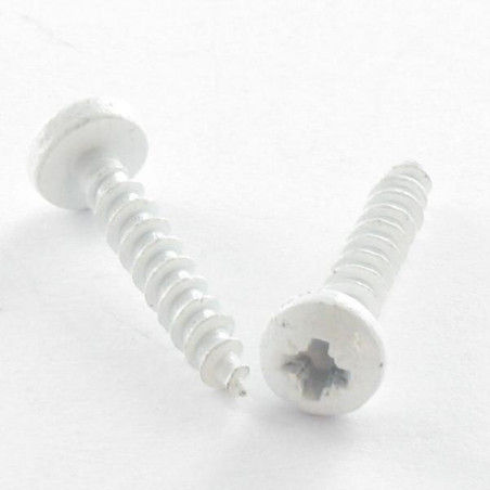 1 x Tornillo madera aglomerado Inoxidable A2 cabeza redonda Pozi 3X20 microtornillo RAL9016 blanco tráfico