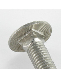 Cabeza redonda cuello cuadrado Inoxidable A2 M6X16... 2
