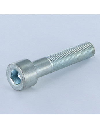 1 x Tornillo metales CHC BTR M10X50 roscado en...
