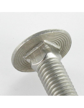 1 x Tornillos de Cabeza Redonda Cuello Cuadrado...