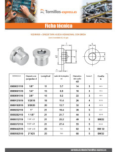 Tapón hexagonal hueco con reborde HC22 Inoxidable A2... 2
