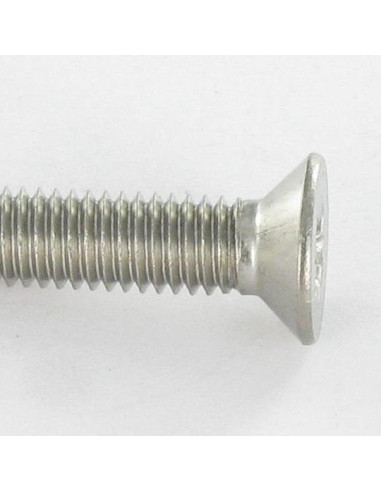 1 x Tornillo autorroscante Inoxidable A2 cabeza...