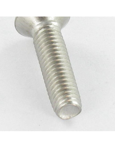 1 x Tornillo autorroscante Inoxidable A2 cabeza...