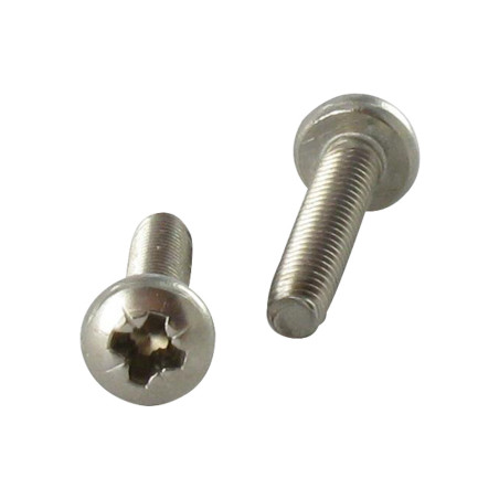 1 x Tornillo autorroscante cabeza cilíndrica abombada M4X10 Pozi PZ4 Inoxidable A2 Negro