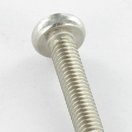 1 x Tornillo autorroscante cabeza cilíndrica abombada M4X10 Pozi PZ4 Inoxidable A2 Negro
