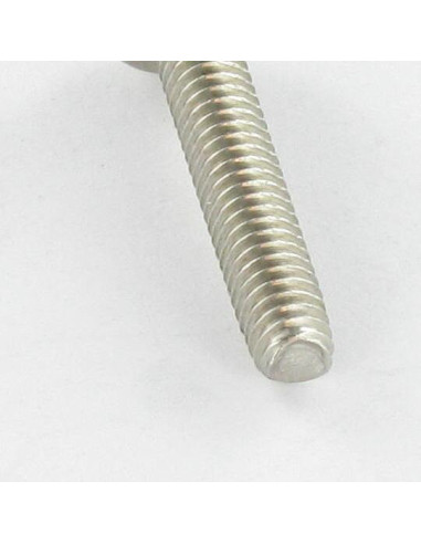 1 x Tornillo autorroscante cabeza cilíndrica...