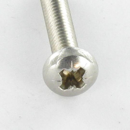 1 x Tornillo autorroscante cabeza cilíndrica abombada M5X8 Pozi PZ4 Inoxidable A2
