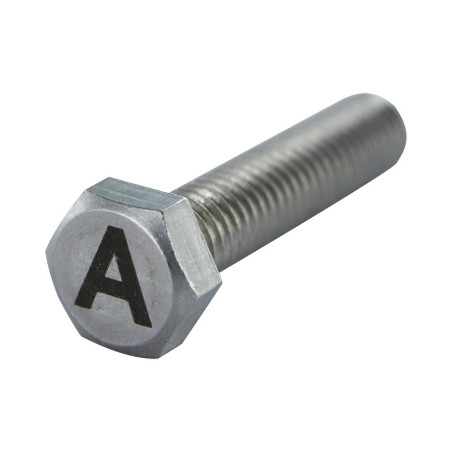 1 x Tornillo metales cabeza hexagonal 8X35 Inoxidable A4 con grabado de letras "TIENE"