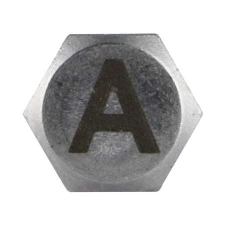 1 x Tornillo metales cabeza hexagonal 8X35 Inoxidable A4 con grabado de letras "TIENE"