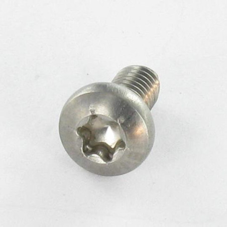 1 x Tornillo autorroscante Inoxidable A2 cabeza cilíndrica abombada TORX 4X8 TORX T20