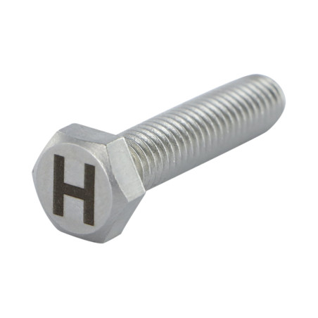 1 x Tornillo metales cabeza hexagonal 8X35 Inoxidable A4 con grabado de letras "H"