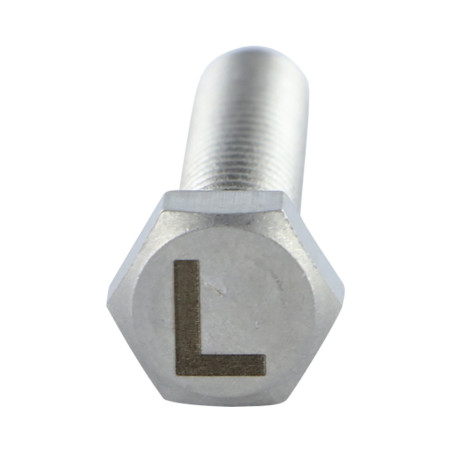 1 x Tornillo metales cabeza hexagonal 8X35 Inoxidable A4 con grabado de letras "L"