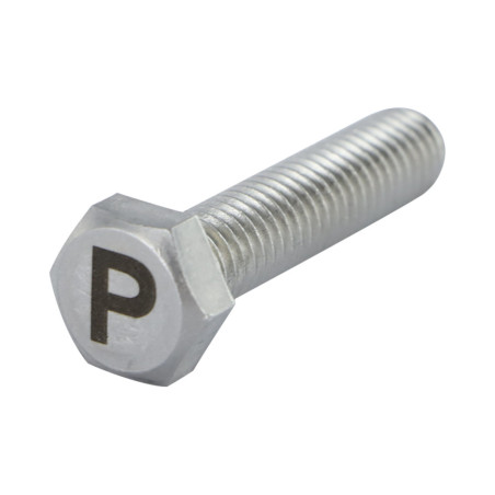 1 x Tornillo metales cabeza hexagonal 8X35 Inoxidable A4 con grabado de letras "PAG"
