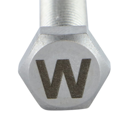 1 x Tornillo metales cabeza hexagonal 8X35 Inoxidable A4 con grabado de letras "W"