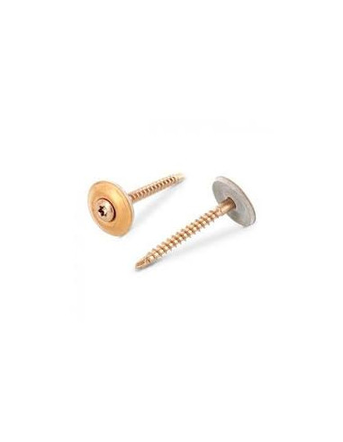 1 x Tornillo de cresta cabeza fresada abombada...