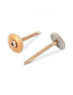 Tornillo de cresta cabeza fresada abombada TORX T20...