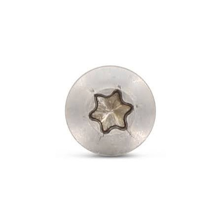 1 x Tornillo madera aglomerado cabeza fresada abombada TORX T25 5X60 roscado en 36 Inoxidable A4