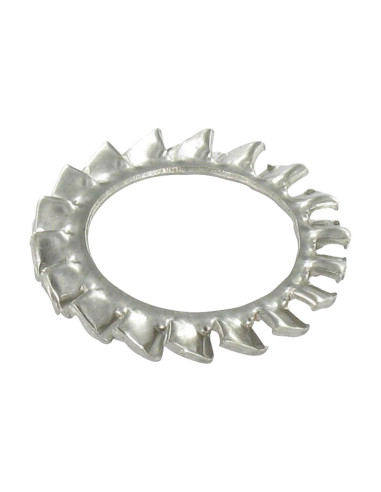1 x Arandela abanico Inoxidable A4 con dentado...