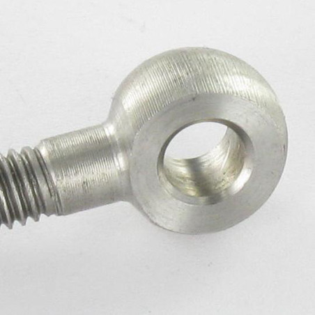 1 x Tornillo metales con ojo M24X120 ojo 22 Inoxidable A4