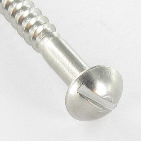 1 x Tornillo madera Inoxidable A2 cabeza redonda ranura 2.5X12 microtornillo