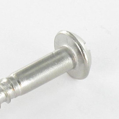 1 x Tornillo madera Inoxidable A2 cabeza redonda ranura 2.5X12 microtornillo