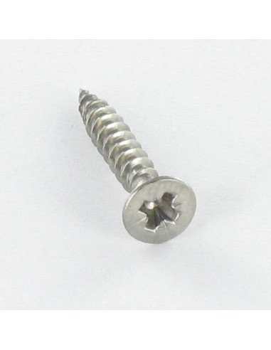 1 x Tornillo madera Inoxidable A2 cabeza...