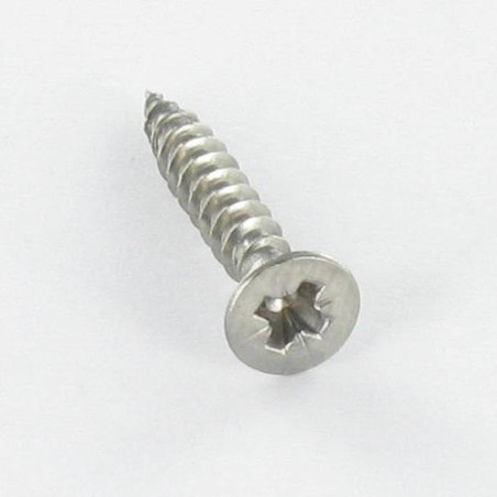 1 x Tornillo madera Inoxidable A2 cabeza fresada/testa svasat Pozi PZ3 2.5X16 microtornillo