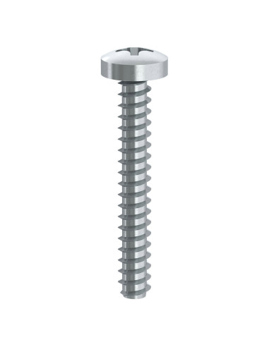 1 x Tornillo chapa cabeza cilíndrica Phillips 2...