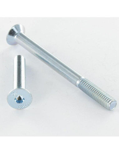 1 x Tornillo metales FHC cabeza fresada cavidad...