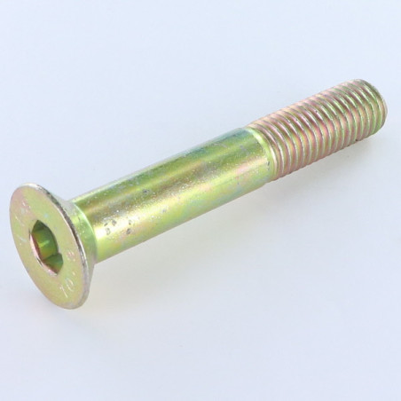 1 x Tornillo metales FHC cabeza fresada cavidad hexagonal hueca M5X20 roscado en 16 clase 10.9 llave de 3 Bicromato