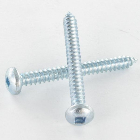 1 x Tornillo chapa cabeza abovedada ancha cuadrado 4.2X45 Acero cincado blanco Huella cuadrada 2