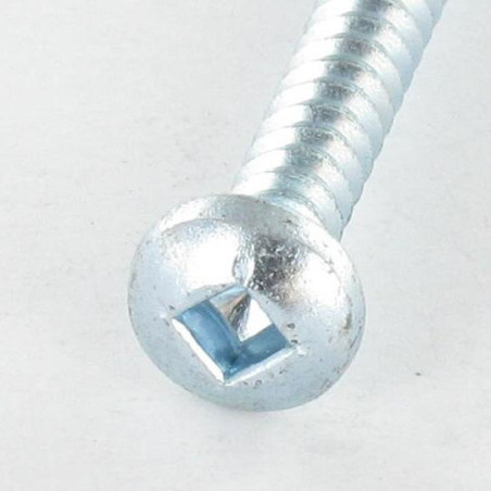 1 x Tornillo chapa cabeza abovedada ancha cuadrado 5.5X70 Acero cincado blanco Huella cuadrada 3