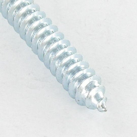 1 x Tornillo chapa cabeza abovedada ancha cuadrado 5.5X50 Acero cincado blanco Huella cuadrada 3