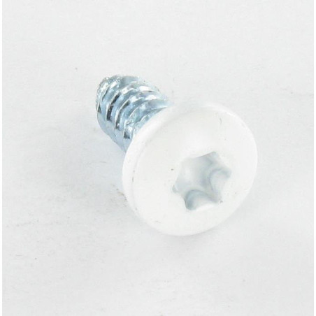 1 x Tornillo chapa cabeza cilíndrica dentado 6.3X16 TORX T30 Acero cincado blanco RAL9016 blanco tráfico
