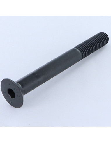 1 x Tornillo metales FHC cabeza fresada cavidad...