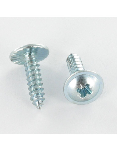 1 x Tornillo chapa cabeza abovedada ancha Pozi...